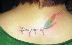 �����ɫ��ë����ͼ��