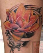 ����ͼ����ȫ����������ͼ��