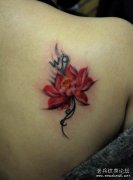 ������������ͼ��