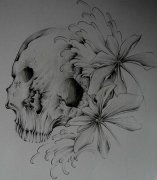 人רҵΪṩûͼͼƬ