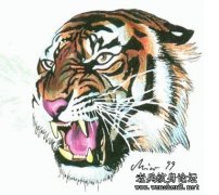 人רҵΪṩһɫϻͷͼͼƬ