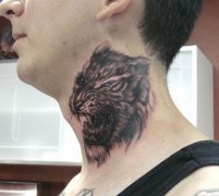 �����ľ����ϻ���ͷ����ͼ������ͼƬ