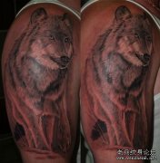 һ���ֱ�������ͼ������ͼƬ