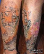 �Ȳ�3D��ɫ�ϻ���������ͼ������ͼƬ