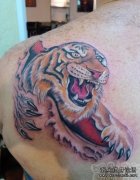 �粿��ɫ˺Ƥ�ϻ�����ͼ������ͼƬ