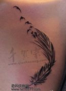 ʱ��Ψ������ë����ͼ��