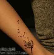 ʱ��Ψ�����Ȳ��ѹ�Ӣ����ͼ��