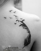 ������ë��������ͼ��