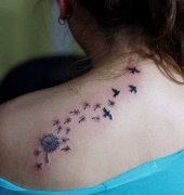 ���е���Ů�����ѹ�Ӣ��������ͼ��