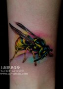 �Ȳ��ɰ���С�۷�����ͼ��