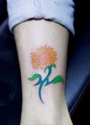 һ��Ů����ϲ�����Ȳ����տ�����ͼ��