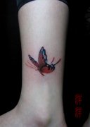 Ů�����Ȳ���ɫ��������ͼ��