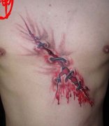 һ���ز�˺Ƥ��������ͼ��