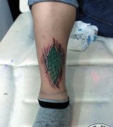 �Ȳ������˺Ƥ����ͼ��