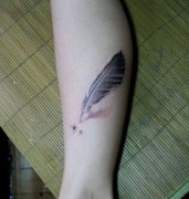 Ů���Ȳ�Ψ������ë����ͼ��