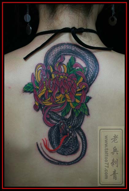 菊花纹身图片
