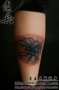 ޸ڸʧ---֩tattoo