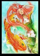 Т��רҵ�������ṩһ�������㣬��������ͼ��