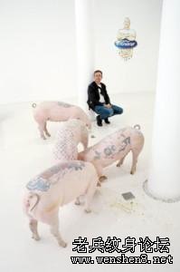 世上最有身价的LV纹身猪 一张猪皮卖20万(图)