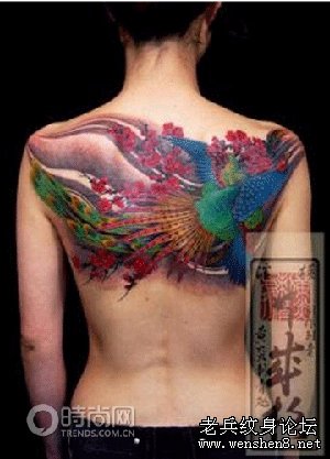 全民Tattoo 纹身文化风靡全球