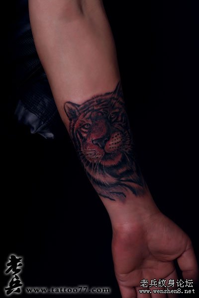 老虎纹身寓意