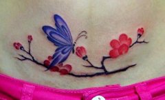 人רҵϱ꣺÷ͼͼƬ