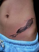 �人רҵ�����꣺��Ů������ë����ͼ����ȫ