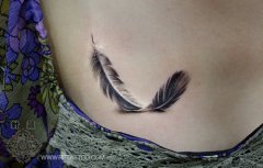 ��������ͼ����ȫ����������ڰ���ë����ͼ��ͼƬ