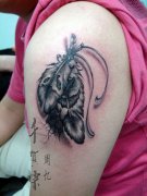 �������ͼ�����ֱ۵�����ë����ͼ��ͼƬ��ȫ