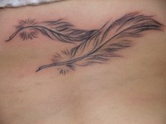 ������ͼ����ȫ������ë����ͼ��ͼƬ��ȫ