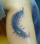 �人��õĴ���꣺�Ȳ���ë����ͼ��ͼƬ��ȫ