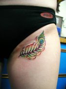 ���Ȳ�ɫ��ë����ͼ��ͼƬ