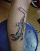 רҵ꣺Ųڰtattooͼȫ