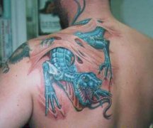 人רҵ꣺˺ƤͼͼƬȫ