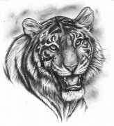 һʺƴ۵ĺڰ׻ͷͼͼƬ