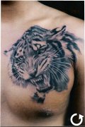 �人���������:һ����͵��ϻ�����(TATTOO)ͼ��
