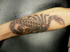 人רҵƼһֲЫͼͼƬ