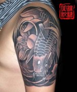 ʩƼһۺڰ״ͳͼͼƬ