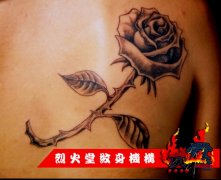 ����Т�������꣺�����ڰ�õ������ͼ��ͼƬ