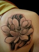 人רҵ꣺米ͼͼƬȫ