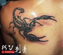 Ы������ͼ����ȫ���米����Ы������ͼ��ͼƬ��ȫ