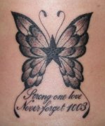 �ڰ�����ͼ����ȫ��һ���ʺ��ƴ�۵ĺ������������ͼ��ͼƬ