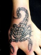 人רҵ꣺ЫͼͼƬȫ