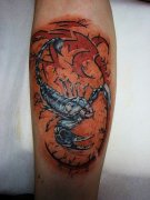 人רҵ꣺ֲӡЫͼȫ