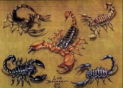 人õ꣺һЫͼͼƬȫ