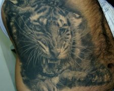 人רҵ:һźܰĻͷͼ