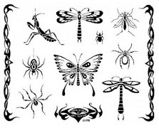 人꣺ɫ֩ѺͼͼƬȫ