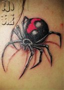 人ɽ꣺ɫ֩ͼͼƬȫ