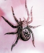 רҵ꣺֩tattooͼͼƬȫ