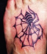 ʯרҵ꣺Ų֩ͼͼƬȫ